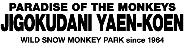 JIGOKUDANI YAEN-KOEN|Welcome , Japanese Monkey to the world