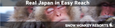 Real Japan in Easy Rearch SNOW MONKEY RESORTS