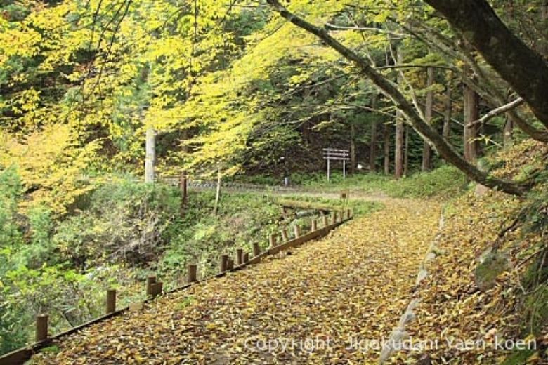 弓地遊歩道写真