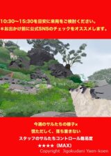 サルたち出勤予報10/13~10/20