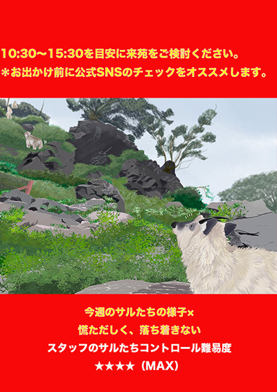 サルたち出勤予報　11/3〜11/10