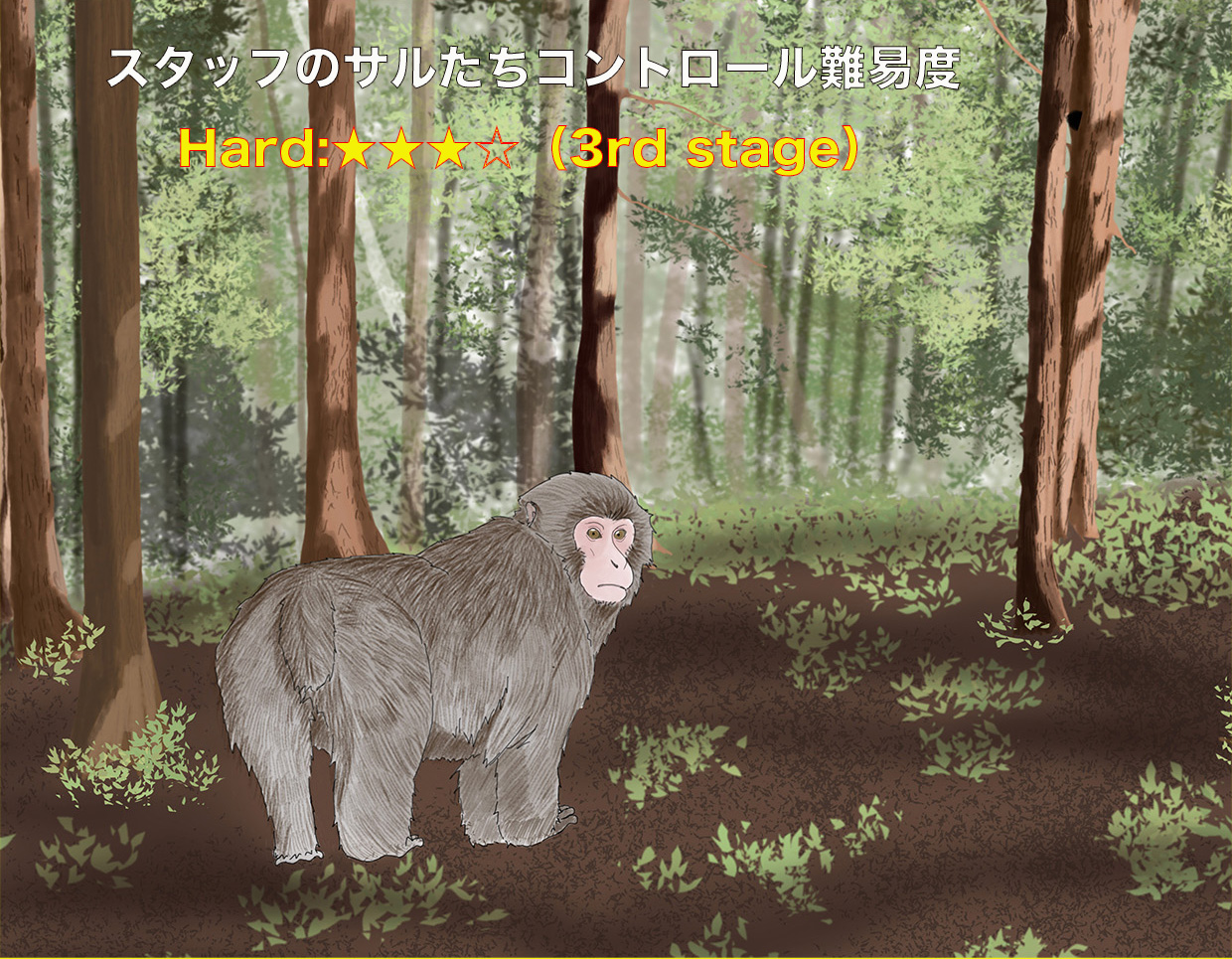 サルたち出勤予報12/1〜12/7